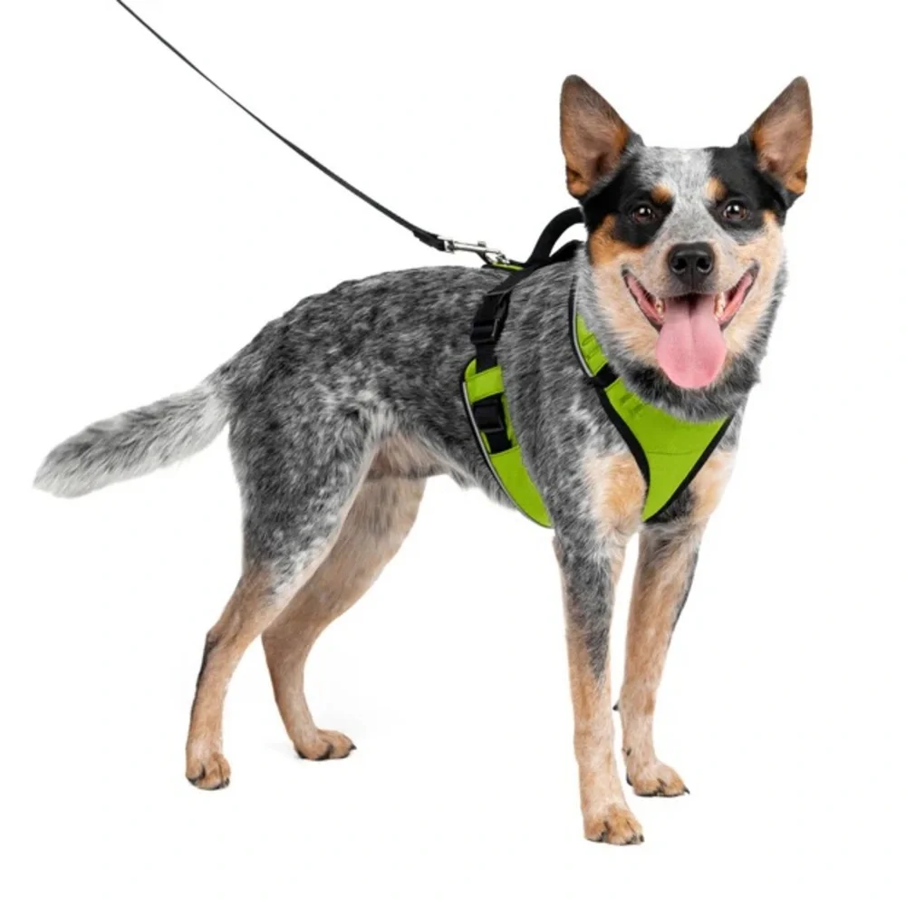 PetSafe EasySport Adjustable Dog Harness w/Control Handle Reflective•Green SizeM